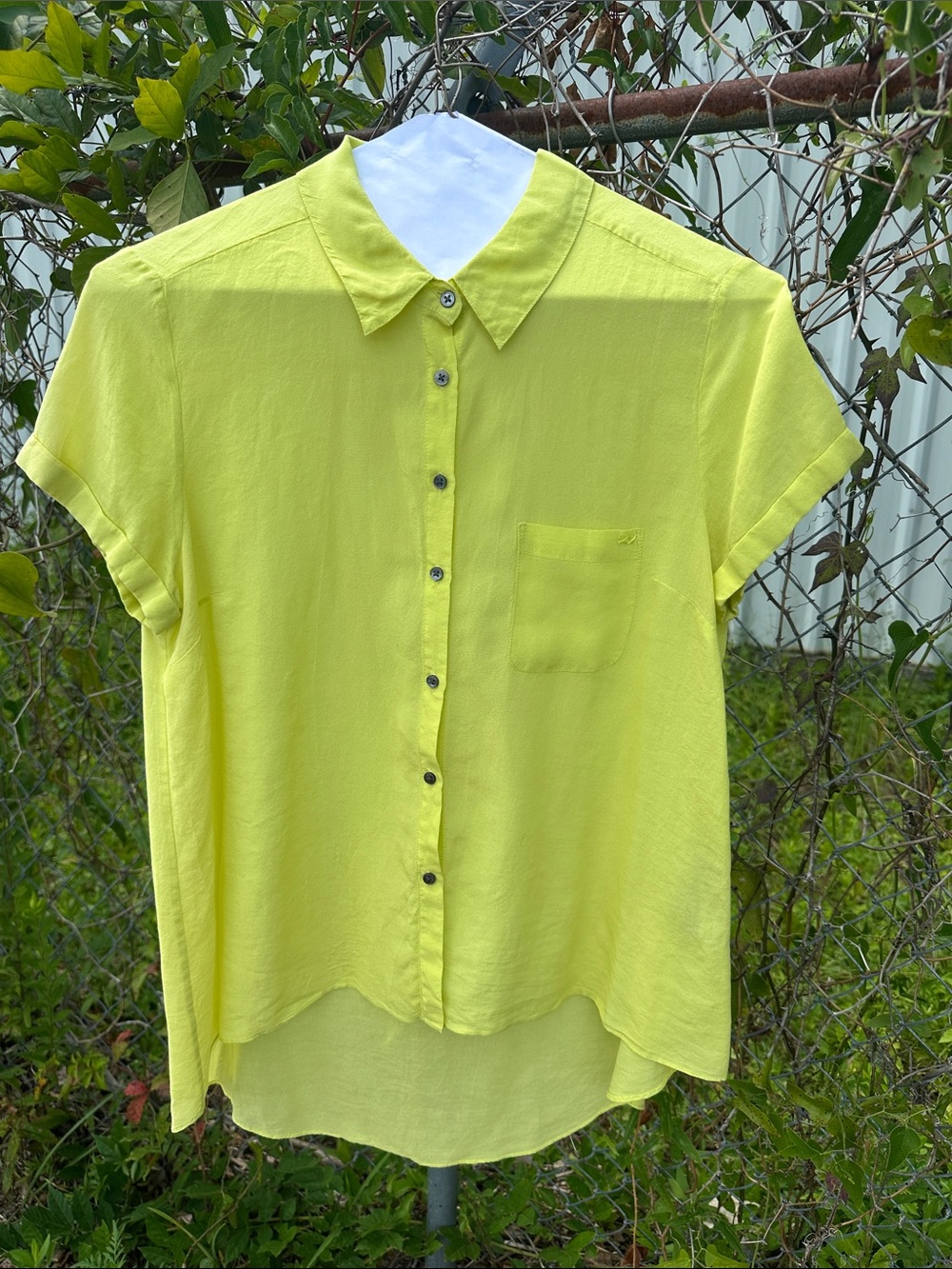 Elizabeth and James button up